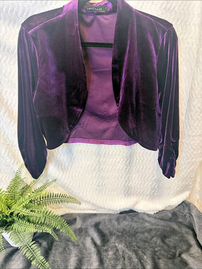 Mint Limit Cropped Velvet Jacket in Purple Like New